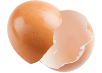 Cracked eggshell.