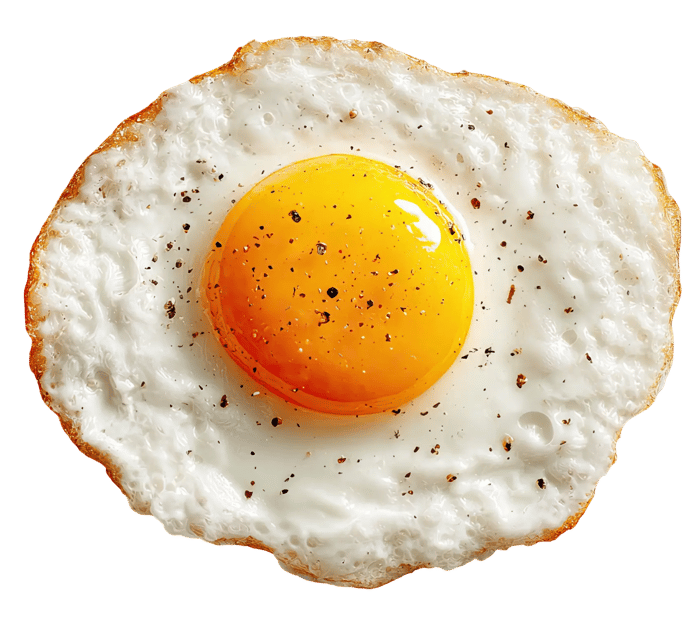 A fried egg. A fried egg.